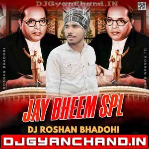 Bhim Mera No 1 Hai { 14 April Jai Bheem Dj Song } - Dj Roshan Bhadohi